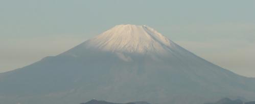 DSC01320-1.jpg