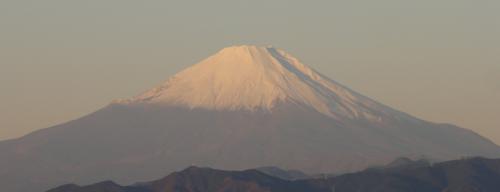 DSC01365-1.jpg