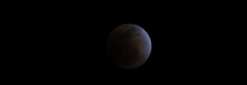 DSC01381-1.jpg