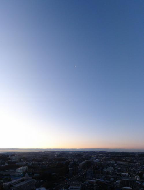 DSC01480-1.jpg