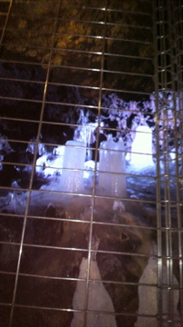 2010081611070001.jpg