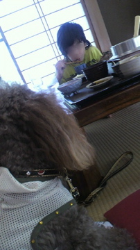 2010081612520000.jpg