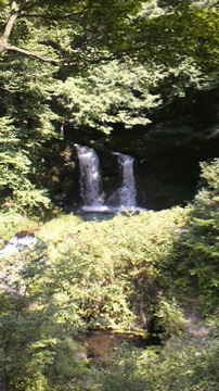 2010081614460000.jpg