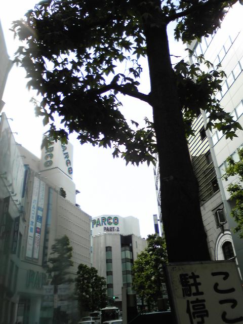 moblog_208a9a47.jpg