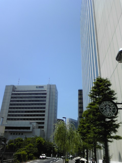 moblog_77a9f5c5.jpg