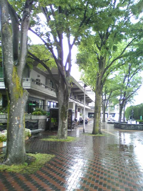 moblog_7eb8486e.jpg
