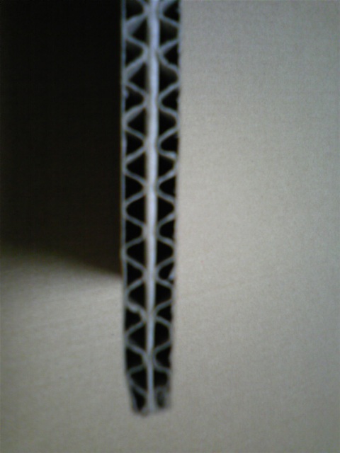 moblog_aa275299.jpg