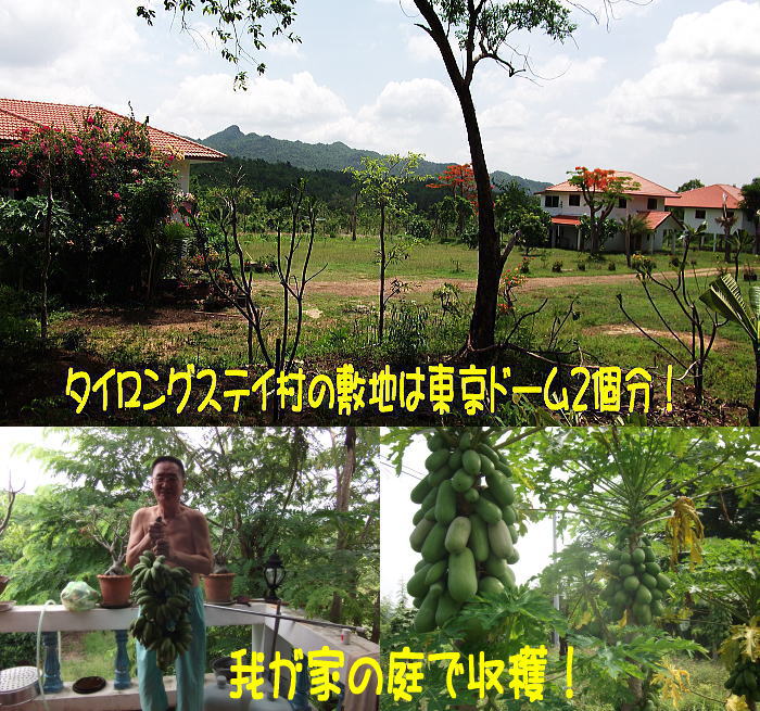 longstaymura5555.jpg