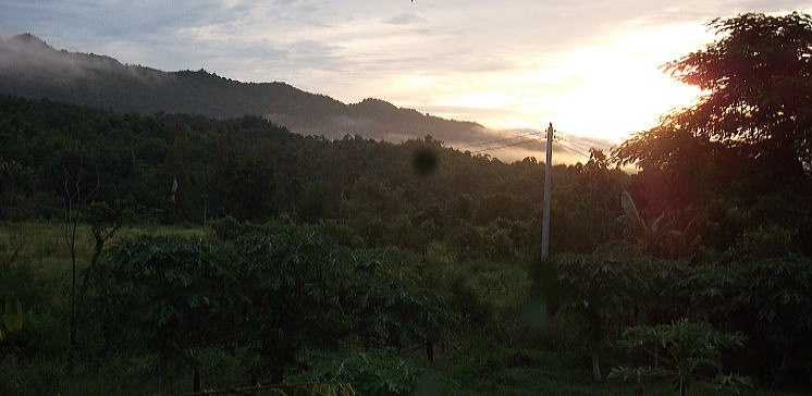zasayake.jpg