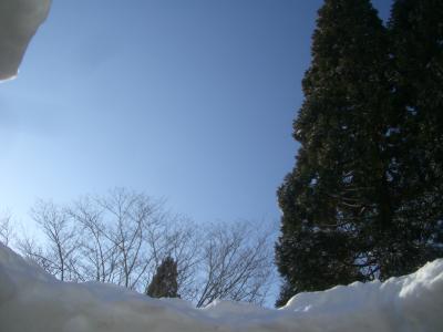 CIMG0771_convert_20100227225530.jpg
