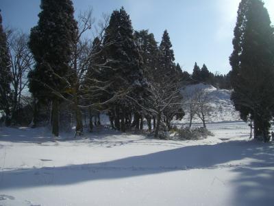 CIMG0777_convert_20100227232516.jpg