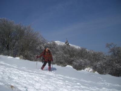 CIMG0785_convert_20100227233416.jpg