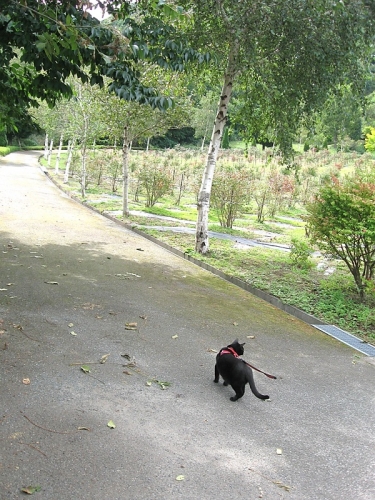ハーブ園16