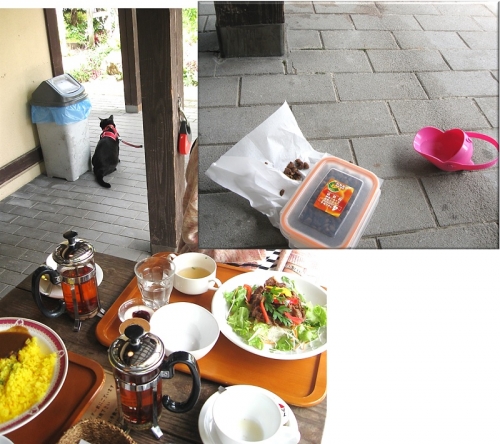 ハーブ園22