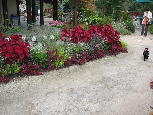 ハーブ園28