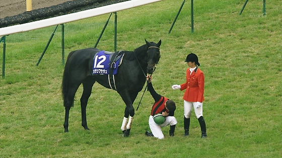 平成24年【天皇賞・秋】天覧競馬で優勝馬エイシンフラッシュから下馬して頭を下げるミルコ・デムーロ騎手