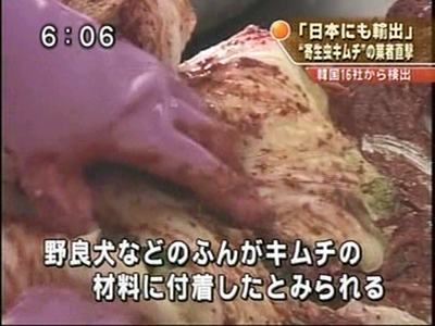 韓国産キムチから寄生虫の卵、野良犬の糞が見つかる　日本へも輸出