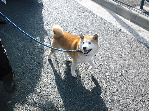 東京　反マスコミデモ20130302