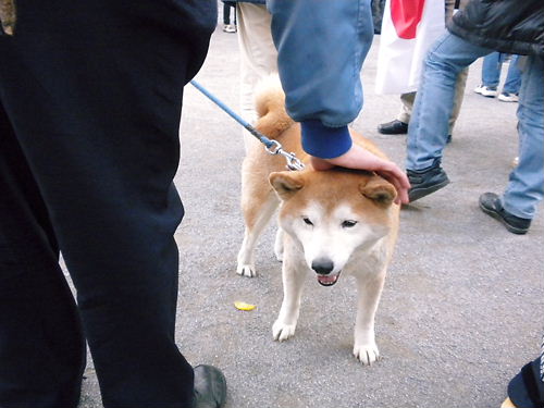 東京　反マスコミデモ20130302