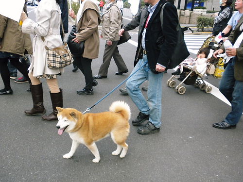 「日教組から子供を守れ！」デモ行進（平成２５年３月２４日、東京銀座）