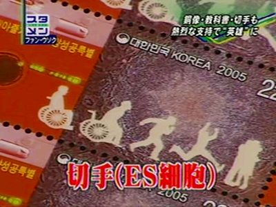 ２００５年になると、黄禹錫（ファン・ウソク）教授の論文が捏造だったことが発覚