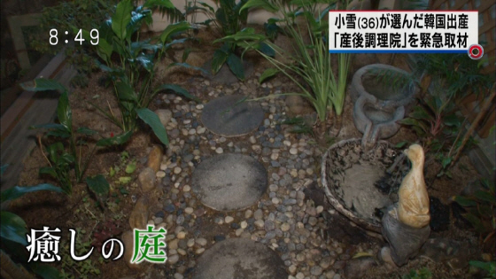 癒しの庭