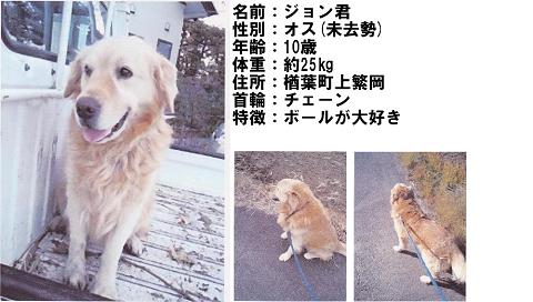 掲示板ジョン君