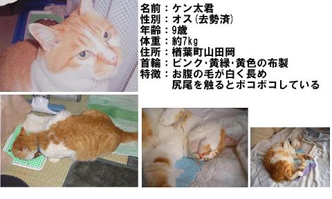 掲示板ケン太君