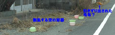 餌場11-1