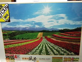 PanoramicFlowerGarden_000