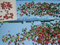 PanoramicFlowerGarden_004