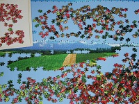 PanoramicFlowerGarden_005