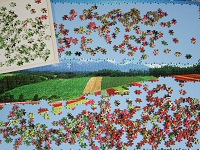 PanoramicFlowerGarden_006