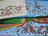 PanoramicFlowerGarden_007