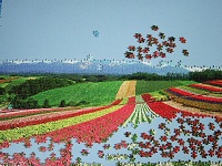 PanoramicFlowerGarden_009