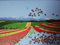 PanoramicFlowerGarden_010
