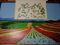 PanoramicFlowerGarden_012