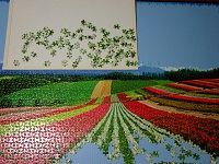 PanoramicFlowerGarden_013