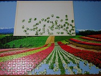 PanoramicFlowerGarden_014