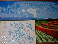 PanoramicFlowerGarden_019