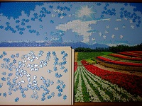 PanoramicFlowerGarden_020