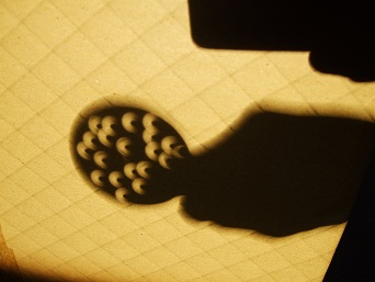 nisshoku20120521_003