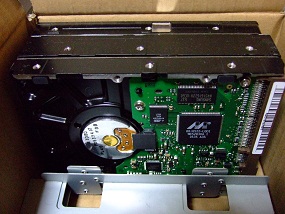 noppblog20121231_001