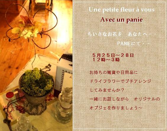 PANIE525A