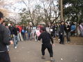 hanami-092