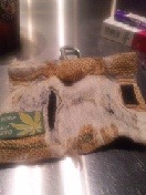 talking wiz u-DVC00034.JPG