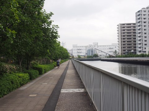 汐浜運河