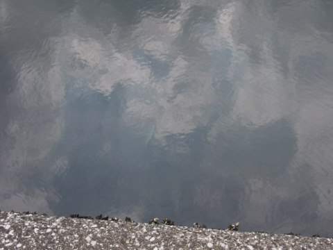 汐浜運河