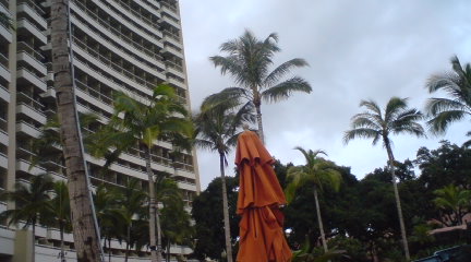 PA0_0002_20101212215351.jpg