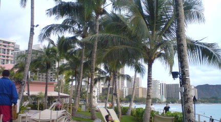 PA0_0003_20101212215344.jpg